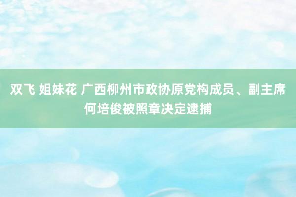 双飞 姐妹花 广西柳州市政协原党构成员、副主席何培俊被照章决定逮捕