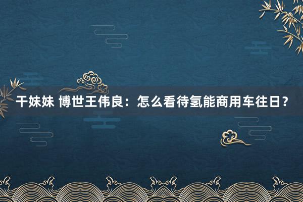 干妹妹 博世王伟良：怎么看待氢能商用车往日？