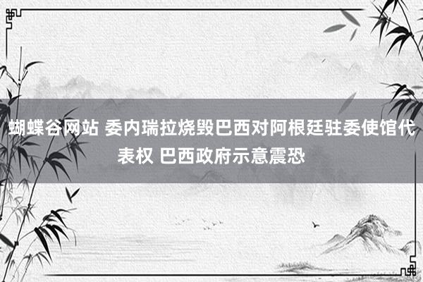 蝴蝶谷网站 委内瑞拉烧毁巴西对阿根廷驻委使馆代表权 巴西政府示意震恐