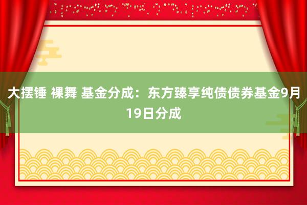 大摆锤 裸舞 基金分成：东方臻享纯债债券基金9月19日分成