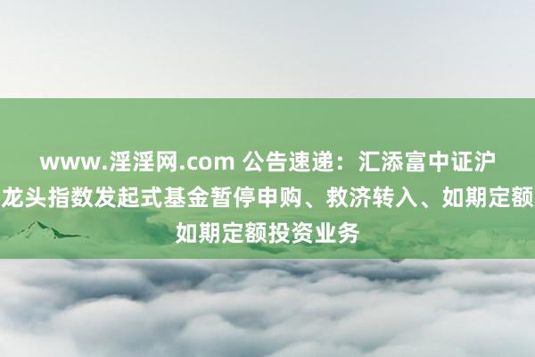 www.淫淫网.com 公告速递：汇添富中证沪港深科技龙头指数发起式基金暂停申购、救济转入、如期定额投资业务