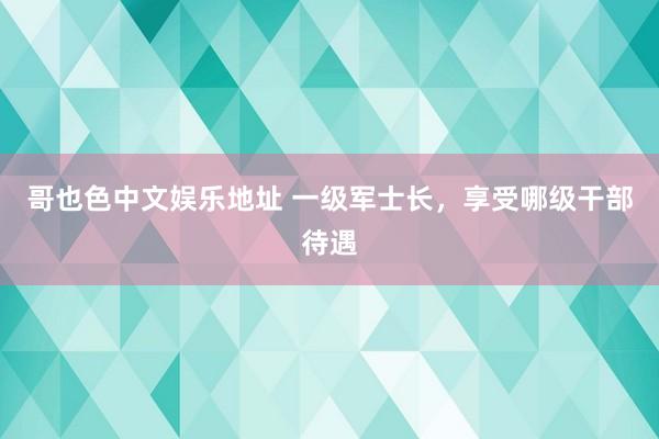 哥也色中文娱乐地址 一级军士长，享受哪级干部待遇