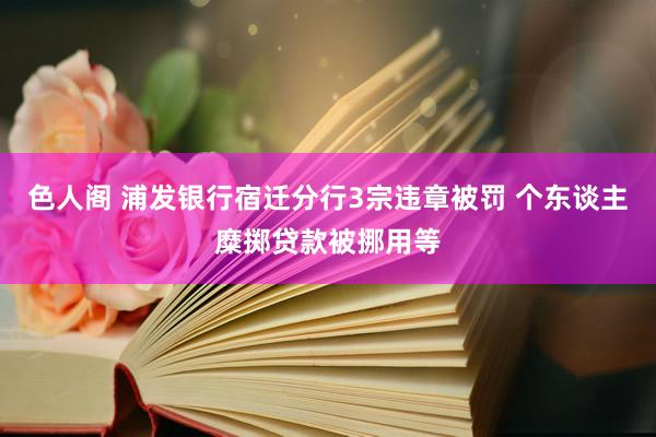 色人阁 浦发银行宿迁分行3宗违章被罚 个东谈主糜掷贷款被挪用等