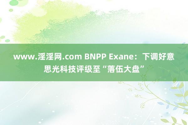 www.淫淫网.com BNPP Exane：下调好意思光科技评级至“落伍大盘”