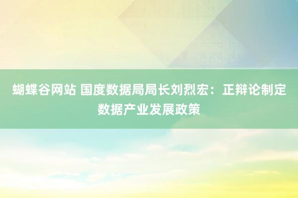 蝴蝶谷网站 国度数据局局长刘烈宏：正辩论制定数据产业发展政策