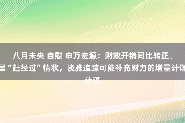 八月未央 自慰 申万宏源：财政开销同比转正、呈“赶经过”情状，淡雅追踪可能补充财力的增量计谋