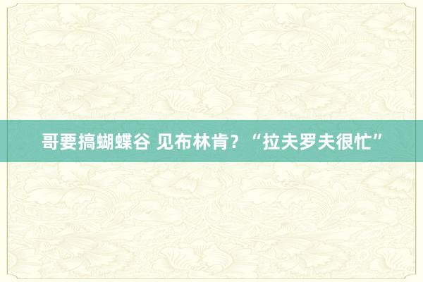 哥要搞蝴蝶谷 见布林肯？“拉夫罗夫很忙”