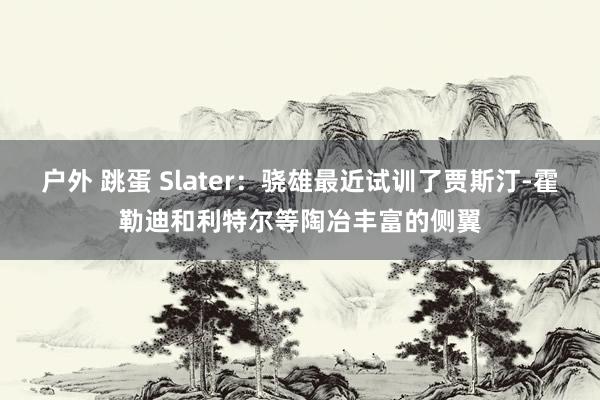 户外 跳蛋 Slater：骁雄最近试训了贾斯汀-霍勒迪和利特尔等陶冶丰富的侧翼