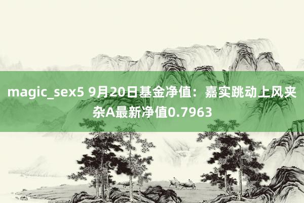 magic_sex5 9月20日基金净值：嘉实跳动上风夹杂A最新净值0.7963