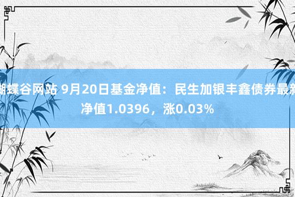 蝴蝶谷网站 9月20日基金净值：民生加银丰鑫债券最新净值1.0396，涨0.03%