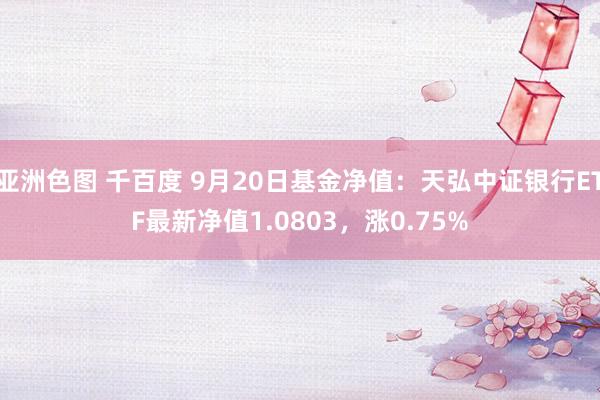 亚洲色图 千百度 9月20日基金净值：天弘中证银行ETF最新净值1.0803，涨0.75%