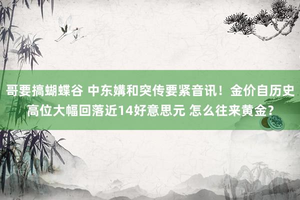 哥要搞蝴蝶谷 中东媾和突传要紧音讯！金价自历史高位大幅回落近14好意思元 怎么往来黄金？