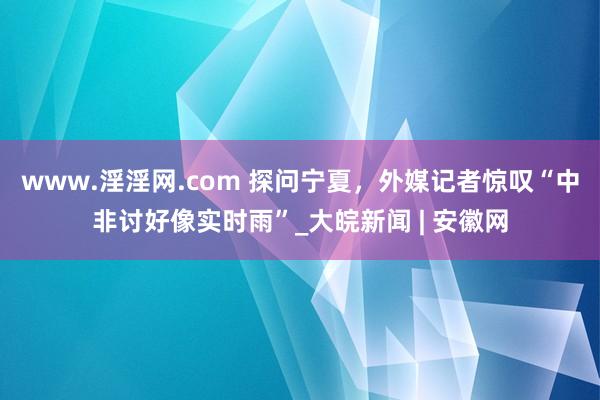 www.淫淫网.com 探问宁夏，外媒记者惊叹“中非讨好像实时雨”_大皖新闻 | 安徽网