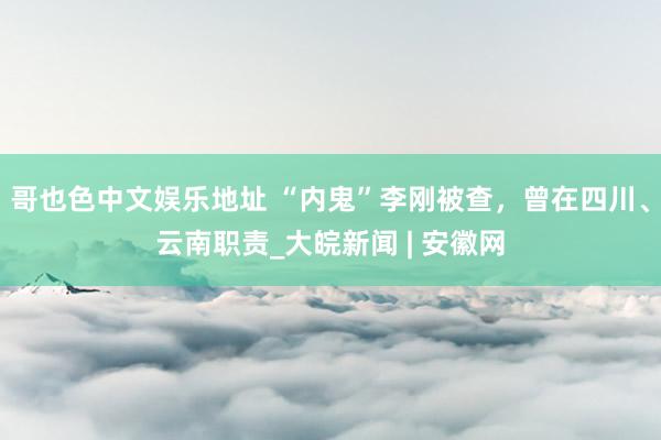 哥也色中文娱乐地址 “内鬼”李刚被查，曾在四川、云南职责_大皖新闻 | 安徽网