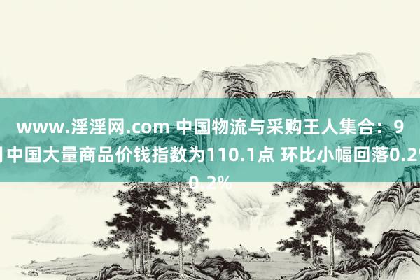 www.淫淫网.com 中国物流与采购王人集合：9月中国大量商品价钱指数为110.1点 环比小幅回落0.2%