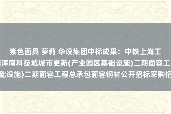 紫色面具 萝莉 华设集团中标成果：中铁上海工程局集团有限公司沈阳浑南科技城城市更新(产业园区基础设施)二期面容工程总承包面容钢材公开招标采购招标公告