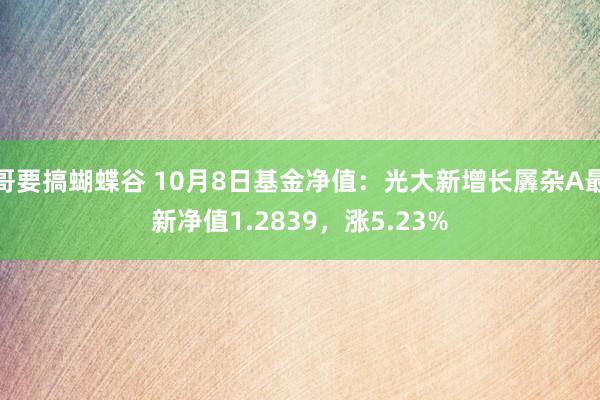 哥要搞蝴蝶谷 10月8日基金净值：光大新增长羼杂A最新净值1.2839，涨5.23%