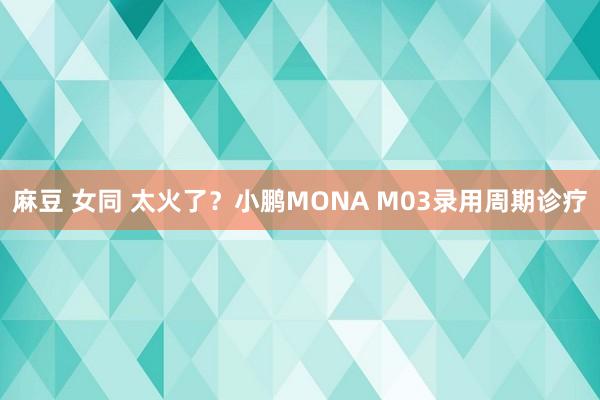 麻豆 女同 太火了？小鹏MONA M03录用周期诊疗