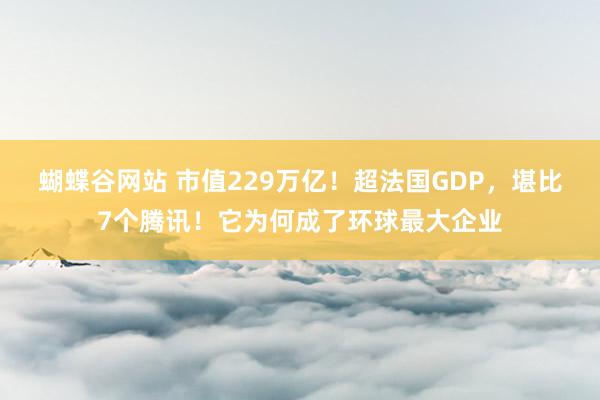 蝴蝶谷网站 市值229万亿！超法国GDP，堪比7个腾讯！它为何成了环球最大企业