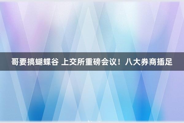 哥要搞蝴蝶谷 上交所重磅会议！八大券商插足