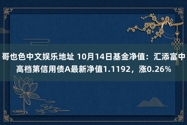 哥也色中文娱乐地址 10月14日基金净值：汇添富中高档第信用债A最新净值1.1192，涨0.26%