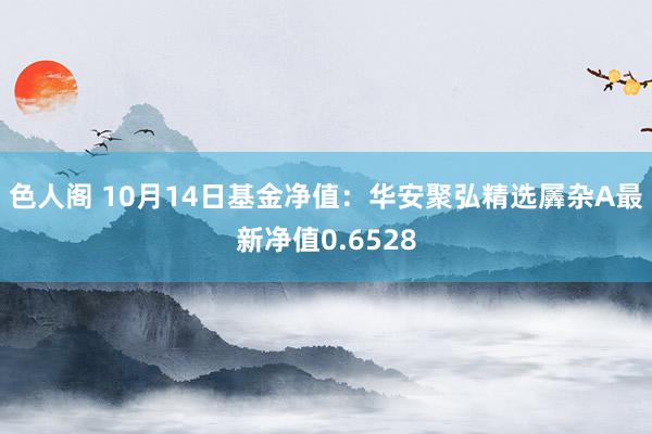 色人阁 10月14日基金净值：华安聚弘精选羼杂A最新净值0.6528