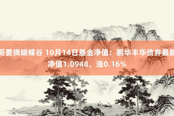 哥要搞蝴蝶谷 10月14日基金净值：鹏华丰华债券最新净值1.0948，涨0.16%