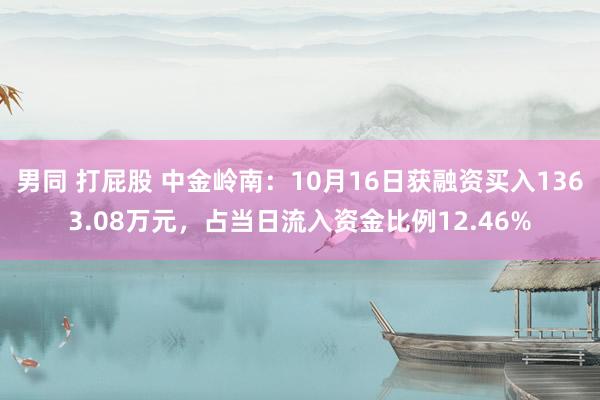 男同 打屁股 中金岭南：10月16日获融资买入1363.08万元，占当日流入资金比例12.46%