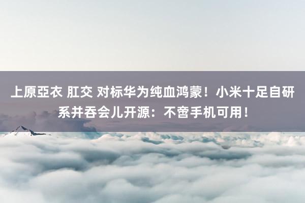 上原亞衣 肛交 对标华为纯血鸿蒙！小米十足自研系并吞会儿开源：不啻手机可用！