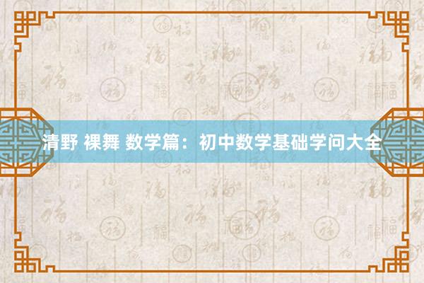 清野 裸舞 数学篇：初中数学基础学问大全