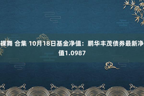 裸舞 合集 10月18日基金净值：鹏华丰茂债券最新净值1.0987