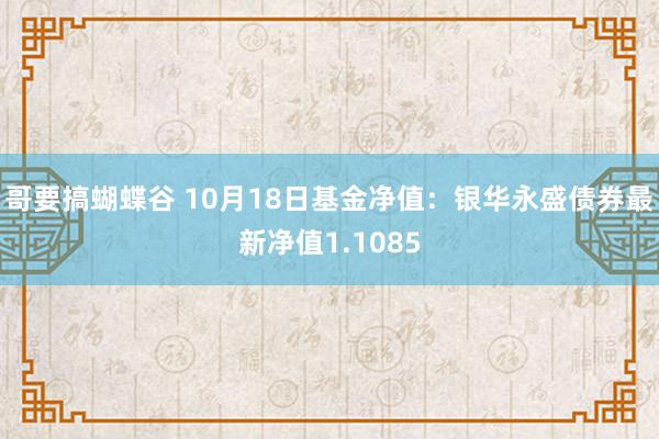 哥要搞蝴蝶谷 10月18日基金净值：银华永盛债券最新净值1.1085