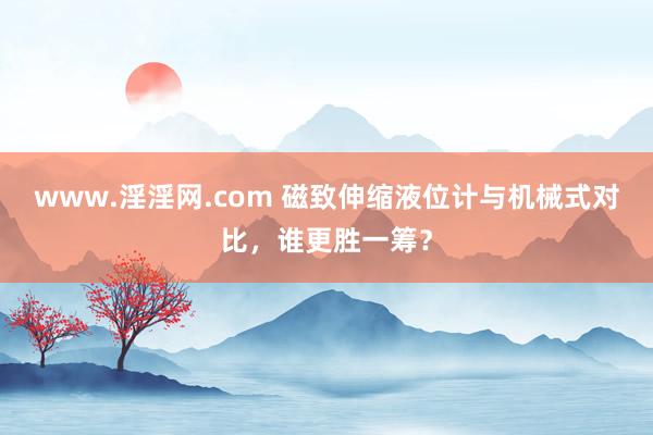 www.淫淫网.com 磁致伸缩液位计与机械式对比，谁更胜一筹？