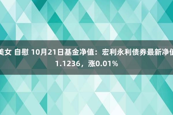 美女 自慰 10月21日基金净值：宏利永利债券最新净值1.1236，涨0.01%