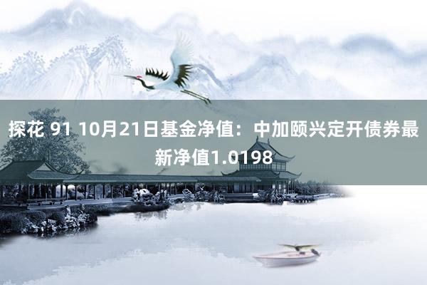 探花 91 10月21日基金净值：中加颐兴定开债券最新净值1.0198