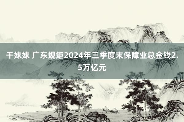 干妹妹 广东规矩2024年三季度末保障业总金钱2.5万亿元