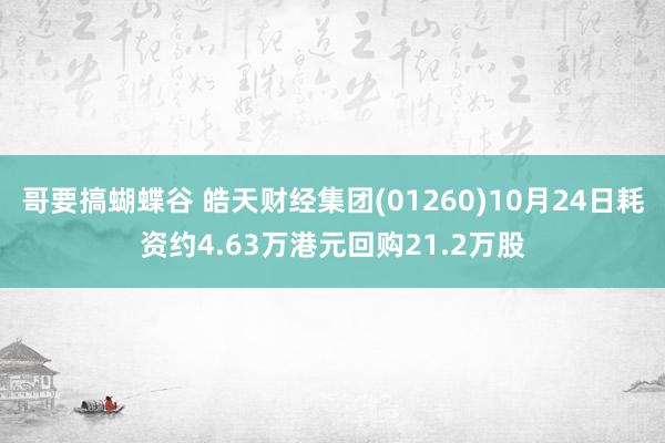 哥要搞蝴蝶谷 皓天财经集团(01260)10月24日耗资约4.63万港元回购21.2万股