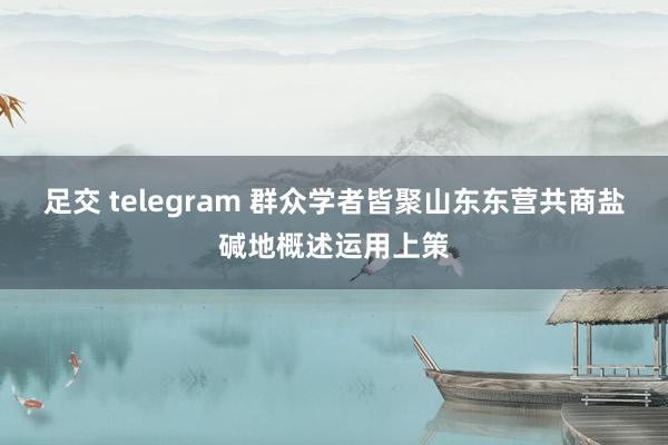 足交 telegram 群众学者皆聚山东东营共商盐碱地概述运用上策