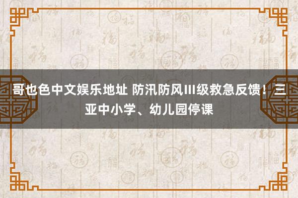 哥也色中文娱乐地址 防汛防风Ⅲ级救急反馈！三亚中小学、幼儿园停课