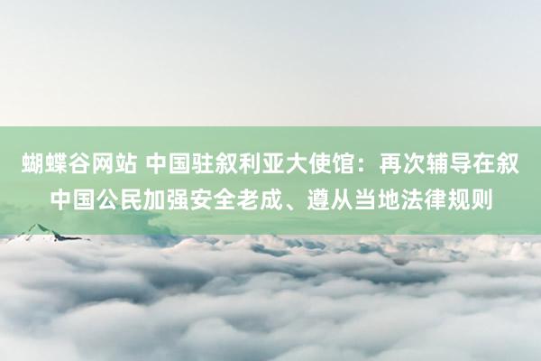 蝴蝶谷网站 中国驻叙利亚大使馆：再次辅导在叙中国公民加强安全老成、遵从当地法律规则