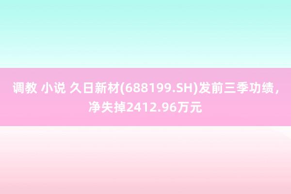 调教 小说 久日新材(688199.SH)发前三季功绩，净失掉2412.96万元