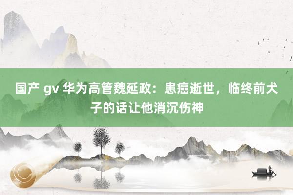 国产 gv 华为高管魏延政：患癌逝世，临终前犬子的话让他消沉伤神