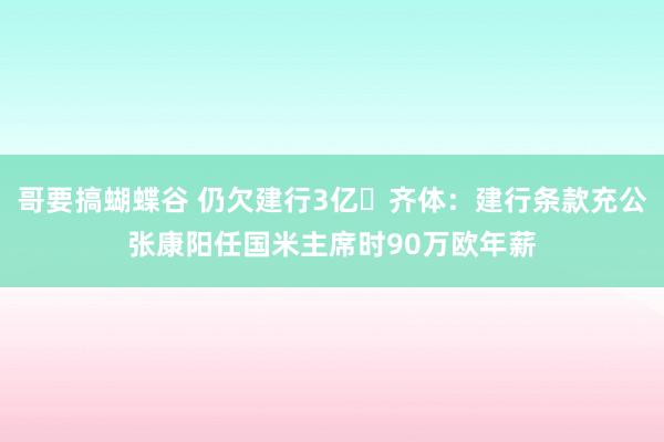 哥要搞蝴蝶谷 仍欠建行3亿❗齐体：建行条款充公张康阳任国米主席时90万欧年薪