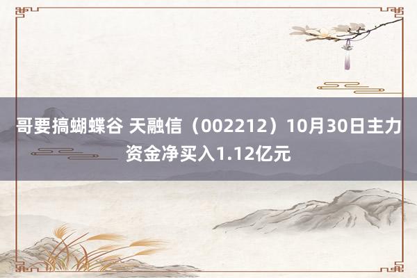 哥要搞蝴蝶谷 天融信（002212）10月30日主力资金净买入1.12亿元