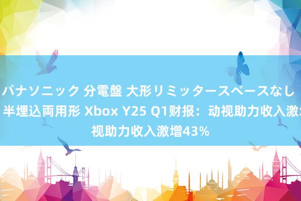 パナソニック 分電盤 大形リミッタースペースなし 露出・半埋込両用形 Xbox Y25 Q1财报：动视助力收入激增43%