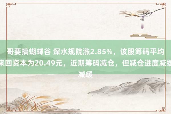 哥要搞蝴蝶谷 深水规院涨2.85%，该股筹码平均来回资本为20.49元，近期筹码减仓，但减仓进度减缓