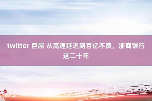 twitter 巨屌 从高速延迟到百亿不良，浙商银行这二十年