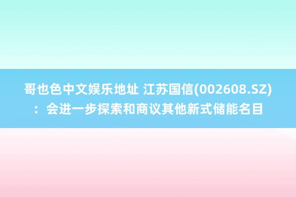 哥也色中文娱乐地址 江苏国信(002608.SZ)：会进一步探索和商议其他新式储能名目