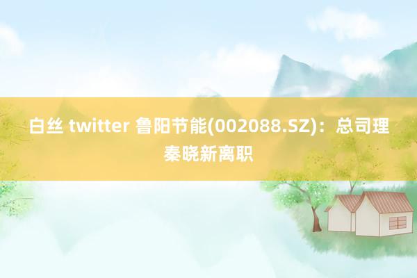 白丝 twitter 鲁阳节能(002088.SZ)：总司理秦晓新离职