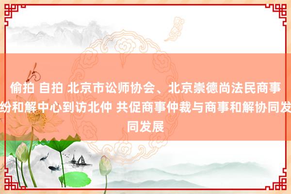 偷拍 自拍 北京市讼师协会、北京崇德尚法民商事纠纷和解中心到访北仲 共促商事仲裁与商事和解协同发展